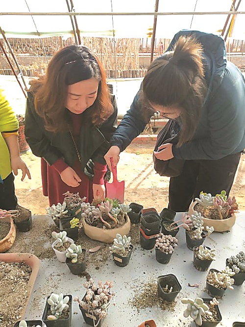 “巾幗心系企 建功新時代” 一一包頭熱力集團女工倡議書8.jpg